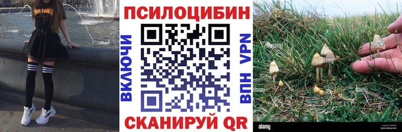 Галлюциногенные грибы Magic Shrooms  Дзержинский 
